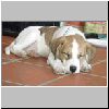 300301malthe13.jpg