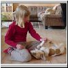 Fjollede hund!