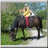 Regine hjt til hest